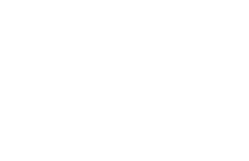 Coors Light